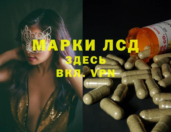 стаф Армянск