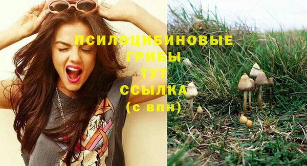 стаф Армянск