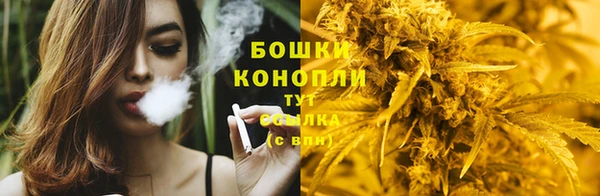 стаф Армянск