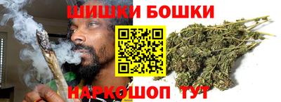 индика Волжский