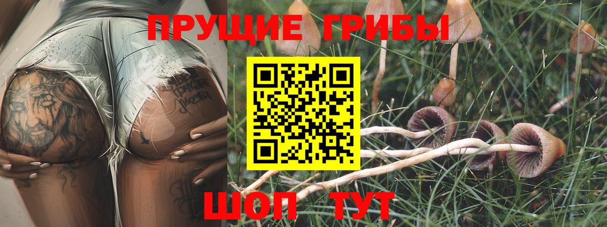 Галлюциногенные грибы GOLDEN TEACHER Красноуфимск