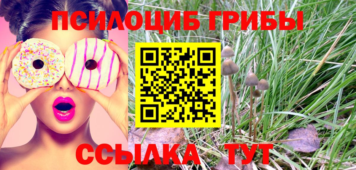 Псилоцибиновые грибы мицелий  Вход с VPN  Красноуфимск 